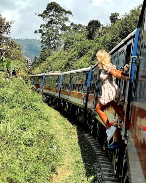 Bentota: Ella Day Trip With Train Ride and Waterfall Visit - Local Tea Plantation Tour