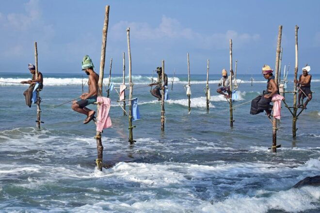 Bentota & Galle Day Tour From Colombo by Car / Van - Madu River Boat Ride