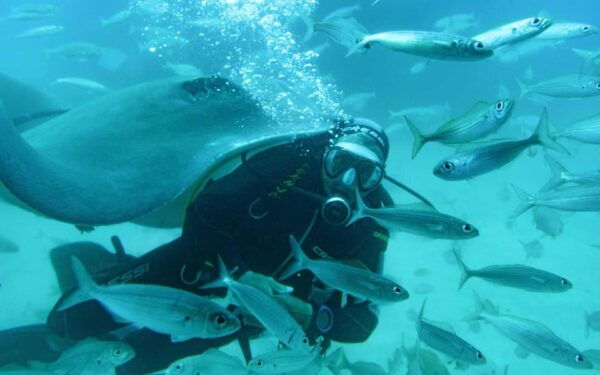Bentota & Galle Day Tour From Colombo by Car / Van - Transportation Details