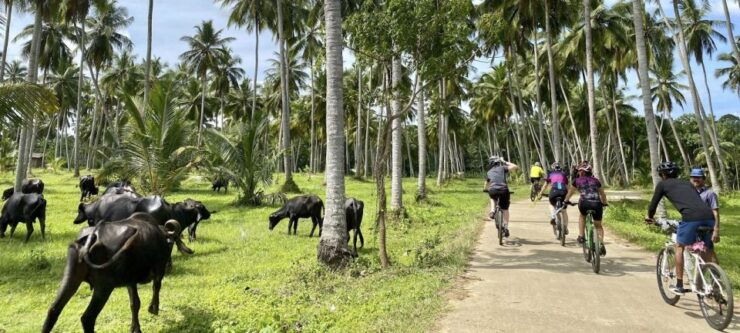 Bentota: Guided Cycling Tour With Refreshments - Tour Duration and Availability