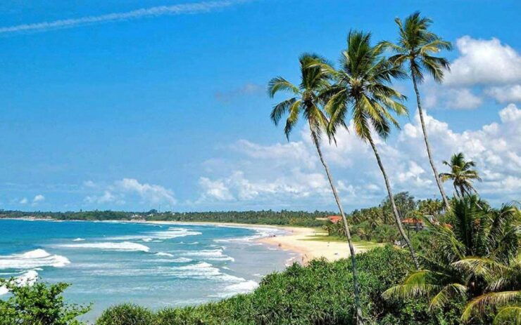 Bentota: Highlights Tour With Beach Day Trip From Colombo - Activity Details