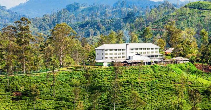 Bentota/Kalutara/Hikkaduwa: Day Trip to Ella Highlands - Free Cancellation and Flexible Travel Plans