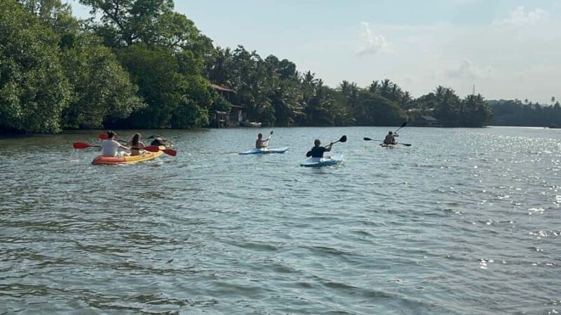 Bentota/Kalutara: Koggala Lake Boat Safari & Kayaking Tour - Review of the Koggala Lake Boat Safari & Kayaking Tour from Kalutara