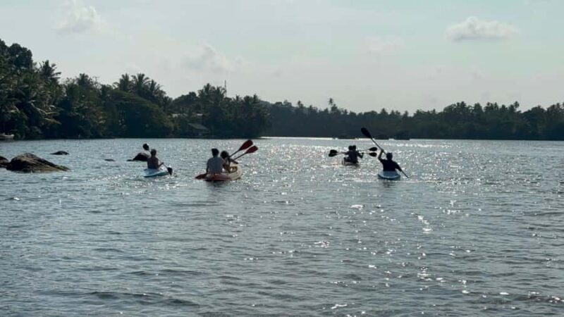 Bentota/Kalutara: Koggala Lake Boat Safari & Kayaking Tour - Transport, Timing, and Group Size