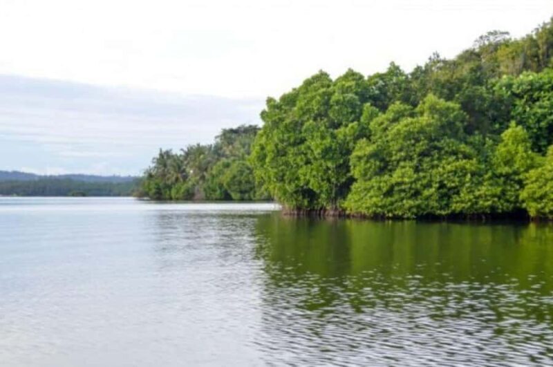 Bentota/Kalutara: Koggala Lake Boat Safari & Kayaking Tour - FAQ