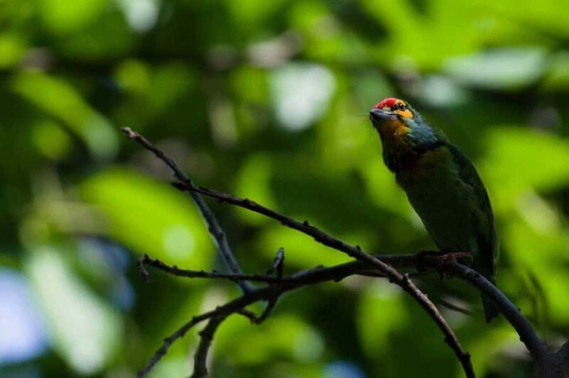 Bentota/Kalutara: Koggala Lake Boat Safari & Kayaking Tour - Final Verdict