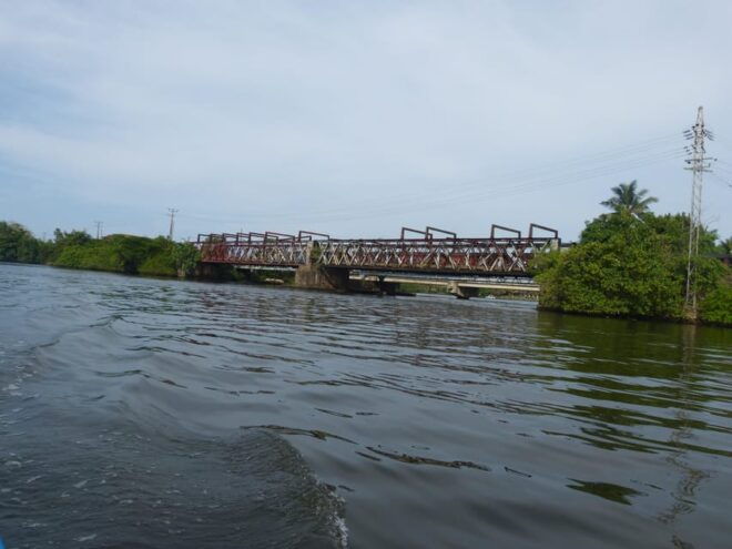 Bentota: Mangrove Lagoon and River Cruise - Wildlife Encounters