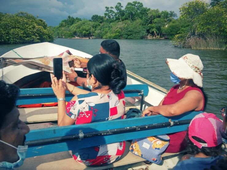 Bentota: Mangrove Lagoon and River Cruise - Free Cancellation and Flexible Reservations