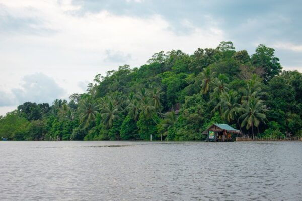 Bentota: Mangrove Lagoon and River Cruise - Directions for the Mangrove Lagoon and River Cruise