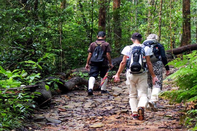 Bentota Private Sinharaja All-Inclusive Tour - Pricing and Booking Details