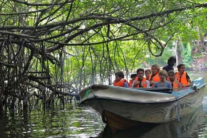Bentota River Boat Safari With Private Boat Beruwala/Bentota/Kosgoda/Ahungalla - Reviews and Ratings