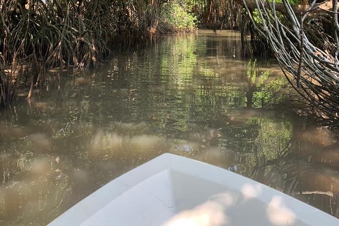Bentota River Mangrove Forest Boat Trip (Private Tour)  - Kalutara - Reviews and Pricing