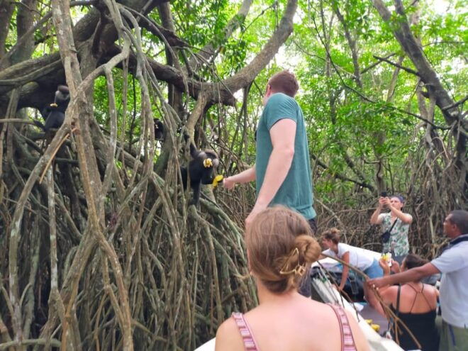 Bentota River Safari - Booking Process