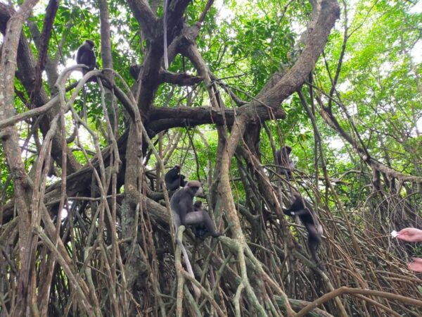Bentota River Safari - Cancellation Policy