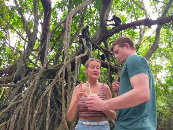 Bentota River Safari - Tips for a Great Experience