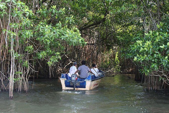 Bentota River Safari By BTM (Mangrove & Wildlife Encounter) - Stop 1: Exploring the Bentota River