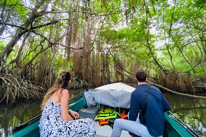 Bentota River Safari: Crocodiles, Monkeys, Birds, Mangrove Forest - The Sum Up