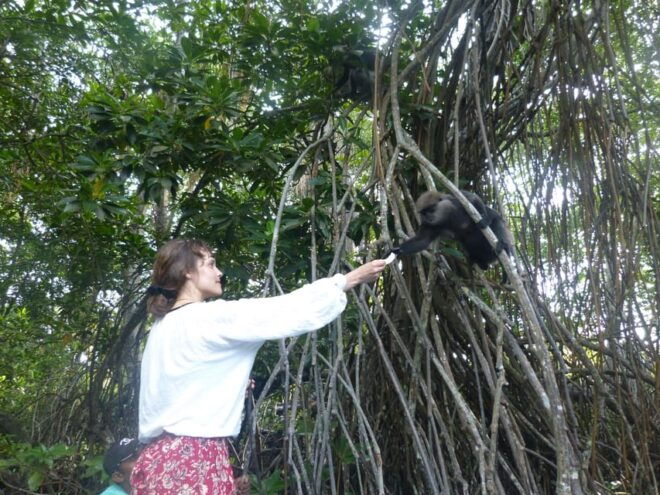Bentota River Safari, Crocodiles, Monkeys, Mangrove & More - Booking Your Adventure