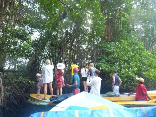 Bentota River Safari, Crocodiles, Monkeys, Mangrove & More - Additional Information