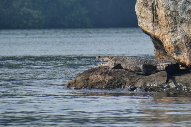 Bentota River Safari - Meeting and Pickup Points
