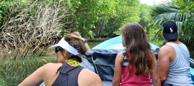 Bentota River Safari (Lagoon Boat Safari) - Inclusions