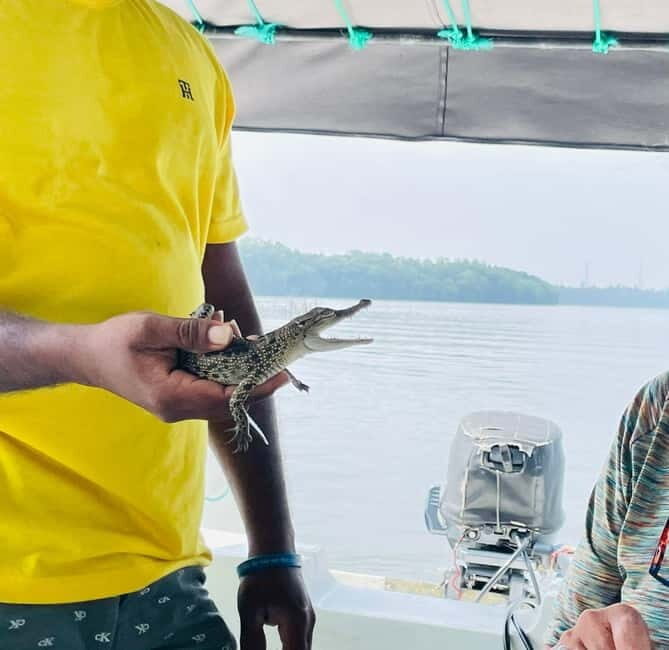 Bentota: River Safari with Hotel Pickup and Drop-Off - Who Should Consider This Tour?