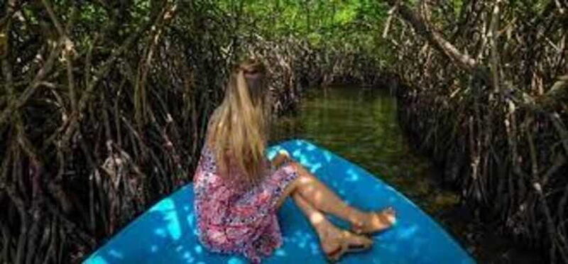 Bentota: River Safari with Hotel Pickup and Drop-Off - Final Thoughts