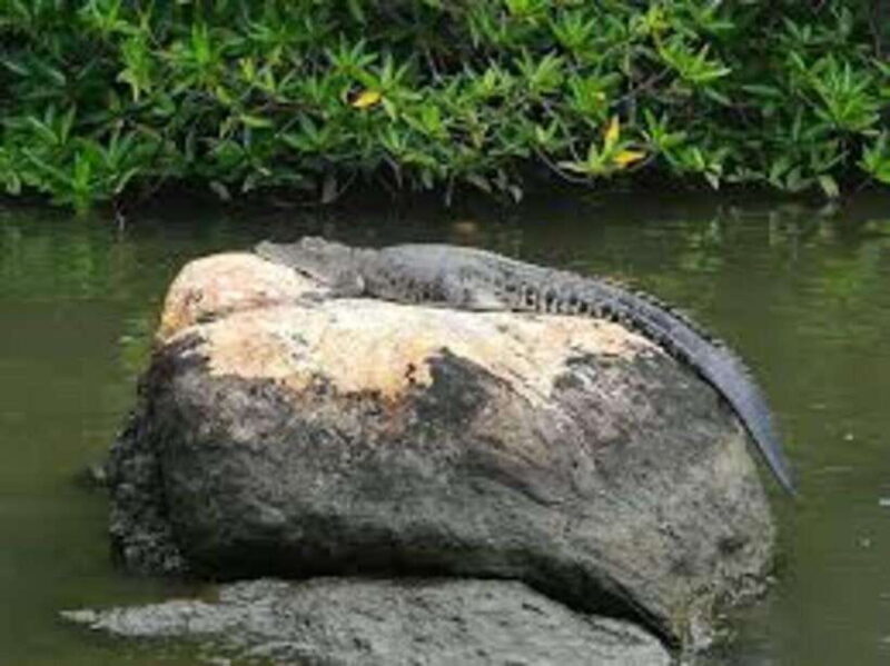 Bentota: River Safari with Hotel Pickup and Drop-Off - Frequently Asked Questions