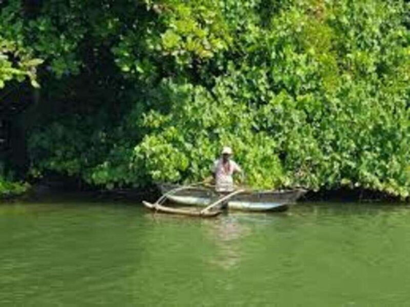 Bentota: River Safari with Hotel Pickup and Drop-Off - What You Can Expect from the Bentota River Safari