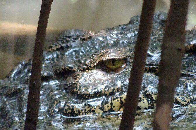 Bentota River Wildlife Boat Safari - The Sum Up: Is It Worth It?