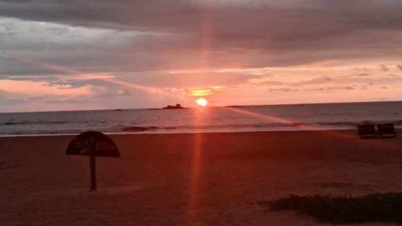 Bentota River,Turtels,Wood Carving & Temple tour By Tuk Tuk - The Sea Turtle Conservation Experience