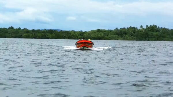 Bentota: Swampboat Ride Through Mangrove Forest - Customer Experiences