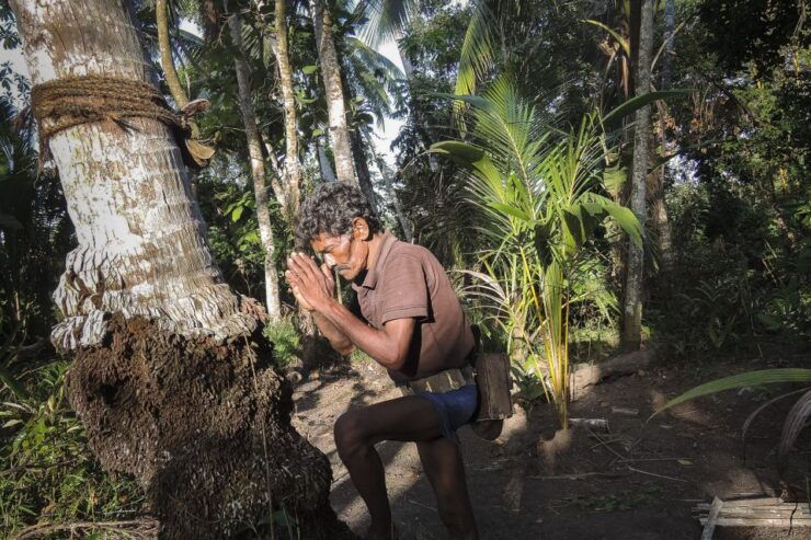 Bentota: Toddy Hunting Cycling Tour in the Countryside - Activity Details