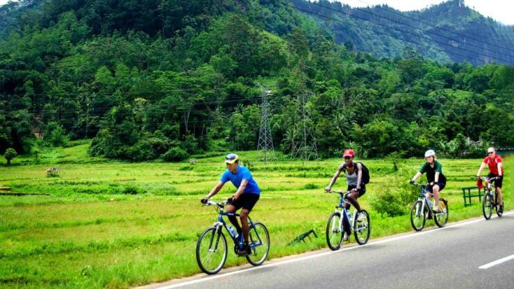Bentota: Toddy Hunting Cycling Tour in the Countryside - Experience Highlights