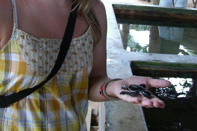 Bentota Tuk Tuk Safari - Explore the Village Culture of Sri Lankans - The Sum Up