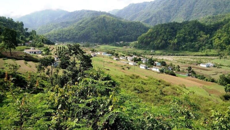 Bentota Village tour, River Safari with Westcoast - The Sum Up  