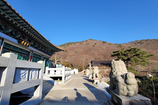 Beomeosa Temple and Hongbeopsa Temple Tour and Local Market Tour - Tour Overview