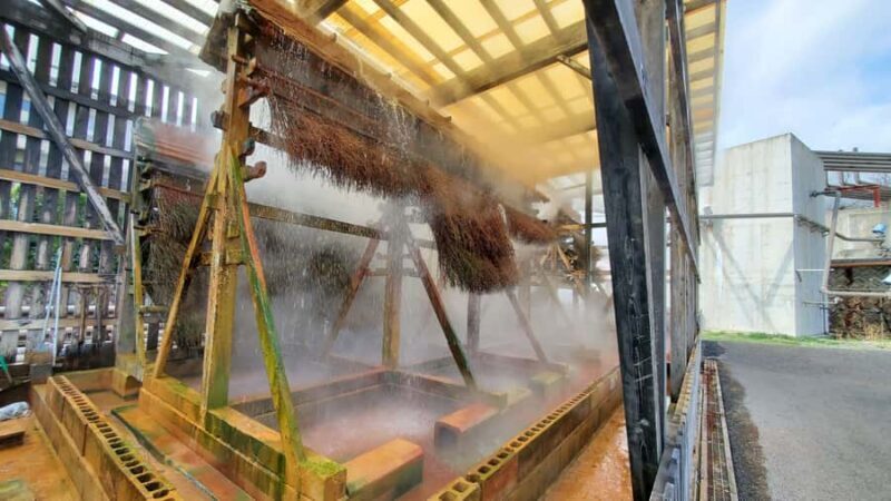 Beppu Guided Private City Tour with Transport - The Value of a Private, Custom Experience