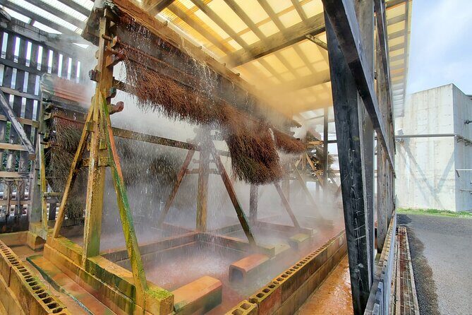 Beppu Guided Private City Tour with Transport - A Detailed Look at the Beppu Private Tour Experience  