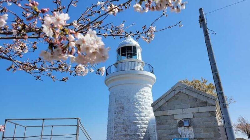 Beppu: Himeshima Island Eco-Cart Tour with Onsen - The Sum Up