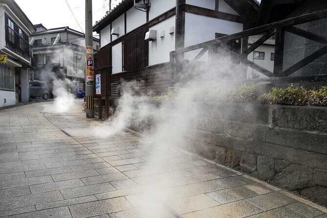 Beppu Oita Private Shore Excursion Hells of Beppu Tour - Who Will Love This Tour?
