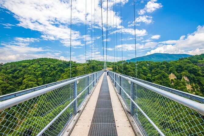 Beppu Oita Private Shore Excursion Hells of Beppu Tour - Good To Know