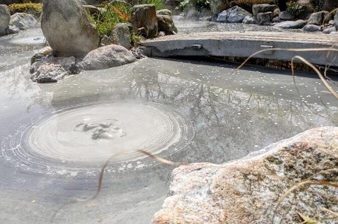 Beppu Oita Private Shore Excursion Hells of Beppu Tour - Authentic Experiences and Unexpected Insights