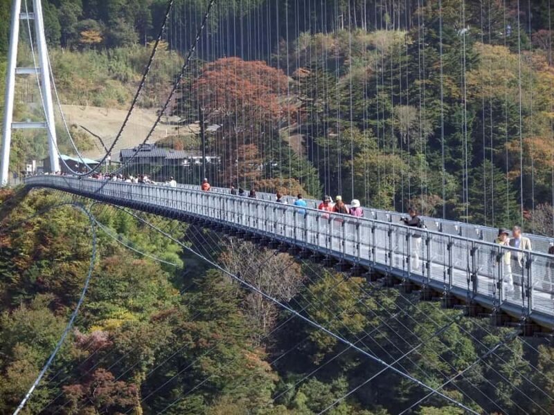 Beppu: Private Shore Excursion Beppu Hells & Sky Bridge - Discovering Beppu’s Geothermal Wonders: A Practical Breakdown