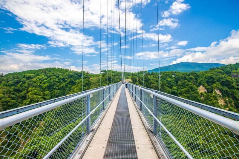 Beppu: Private Shore Excursion Beppu Hells & Sky Bridge - What We Loved & Considered