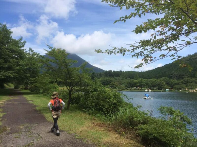 Beppu: Shidaka Lake Nordic Walking and Forest Bathing Tour - Good To Know