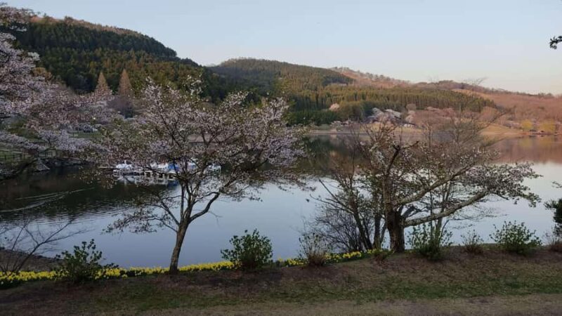 Beppu: Shidaka Lake Nordic Walking and Forest Bathing Tour - An In-Depth Look at the Beppu Nordic Walking and Forest Bathing Tour