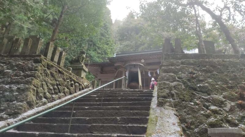 Beppu: Shidaka Lake Nordic Walking and Forest Bathing Tour - Authentic Insights from Reviewers