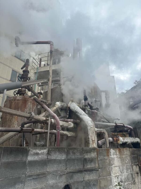 Beppu Walking Tour: Hot Springs & Local Culture - Local Food and Steam-Cooked Snacks