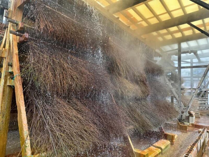 Beppu Walking Tour: Hot Springs & Local Culture - Tour Logistics and Practical Details